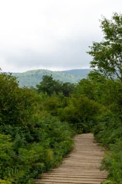 Hiking