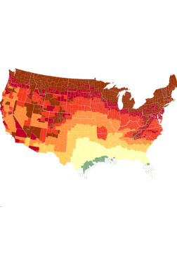 Fall Foliage Map