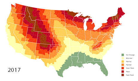 The SmokyMountains.com 2022 fall foliage leaf prediction map.